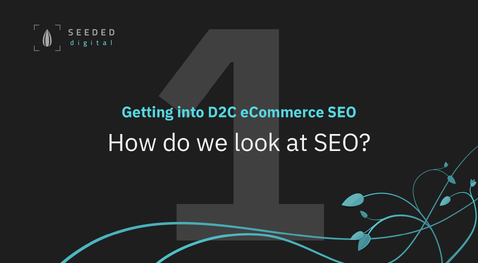 Episode 1 - How do we look at SEO? - Getting into D2C eCommerce SEO video series