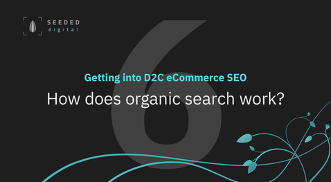Episode 6 - How does organic search work? - Getting into D2C eCommerce SEO video series
