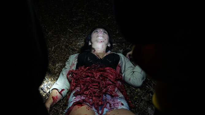 Director: Patricio Valladares. With: Romina Perazzo, Domingo Guzmán, Carolina Escobar, Cristial Cuentrejo. Chile 2020. 72 mins.