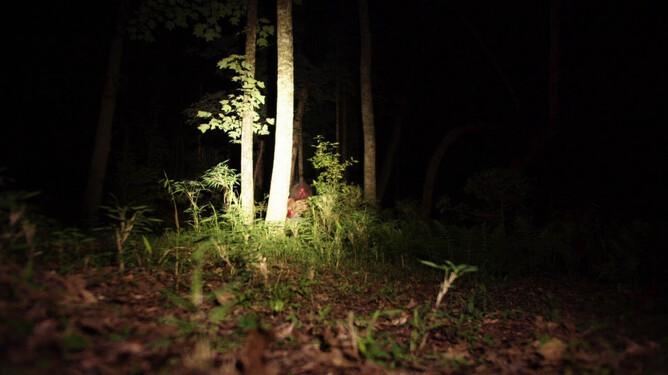 Production wraps on Joshua Brucker's horror, THE WOODMEN