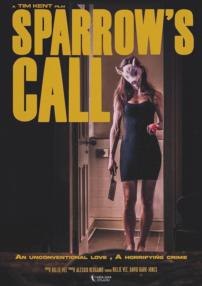 Sparrow's Call film poster - tim kent