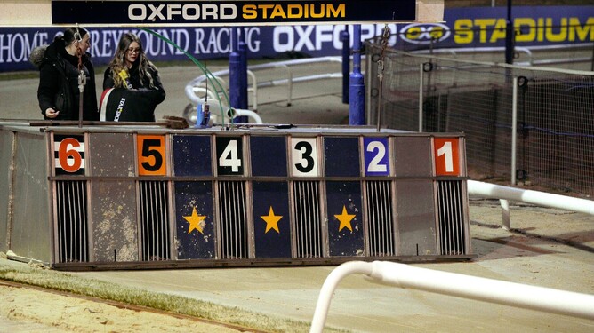 ‘GOING TO THE DOGS’ examines the past, present, and possible future of greyhound racing