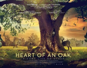 Icon Film Distribution Announces the Release of &#039;HEART OF AN OAK&#039;