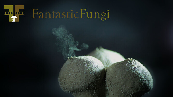 FANTASTIC FUNGI: Louie Schwartzberg's Documentary On The Magic Of Mushrooms