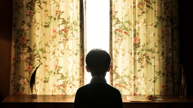 The Hole In The Ground - Irish Horror - Lee Cronin