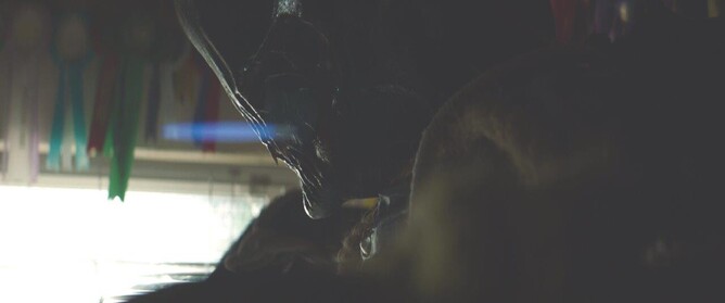 First Look Images From Scott Lyus’s Debut Horror Film WALKING AGAINST THE RAIN, Which Is Currently In Post-Production.