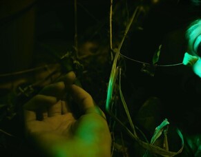 The Movie Agency Unveils Trailer for Nick Thompson&#039;s Horror Film, SKAGIT.