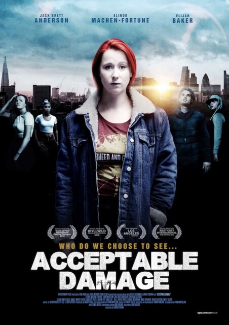 ACCEPTABLE DAMAGE - Lavinia Simina