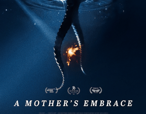 &#039;A MOTHER&rsquo;S EMBRACE&#039; Digital Release Set For 10 November Across UK &amp; Ireland