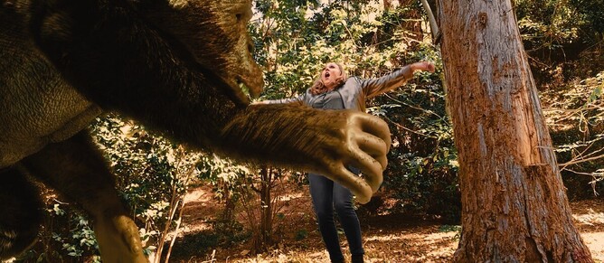 MEGA APE is directed by Dustin Ferguson