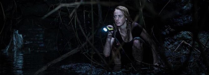 CRAWL by Max Anj & Steffan Thum