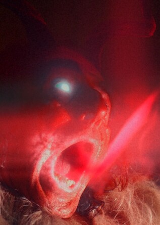 THE FIELD GUIDE TO EVIL