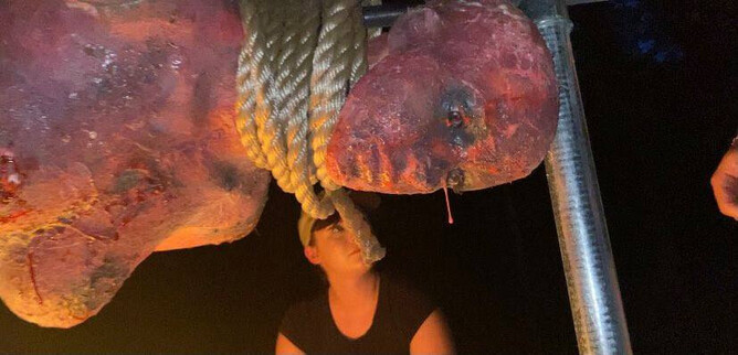 Human Hibachi 2 offers more octane, more gore, more entertainment