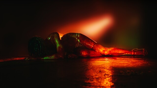 Thw Great Charad - psychological thriller