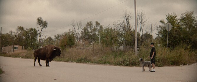 WAR PONY is the directorial debut of Riley Keough  & Gina Gammell