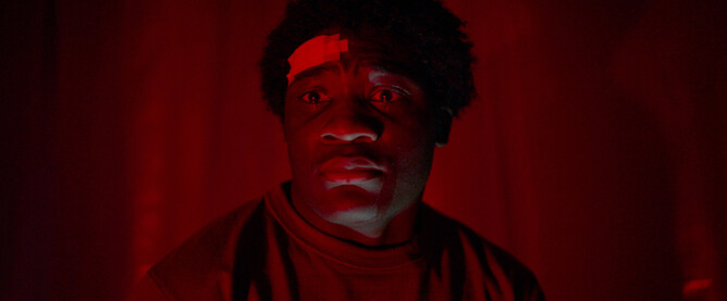 CEREBRUM - Sébastien Blanc