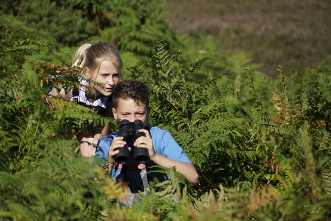 SKULLZ stars fresh talent including Reid Hillwood, Rebecca Womersley & Iain Wallace, 