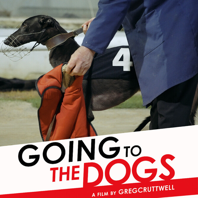 ‘GOING TO THE DOGS’ – New Documentary Explores The Controversial World Of Greyhound Racing