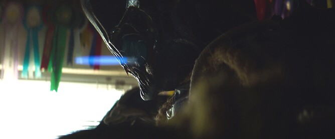 WALKING AGAINST THE RAIN