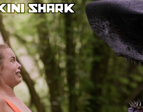 &#039;BIKINI SHARK&#039; &ndash; Coming Soon from ITN Distribution