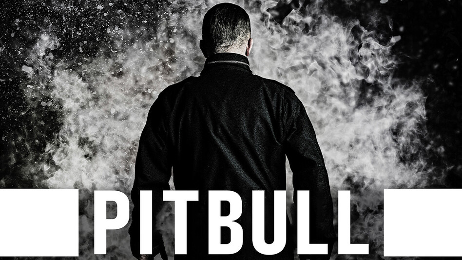 PITBALL is a Polish gangster film shot in English