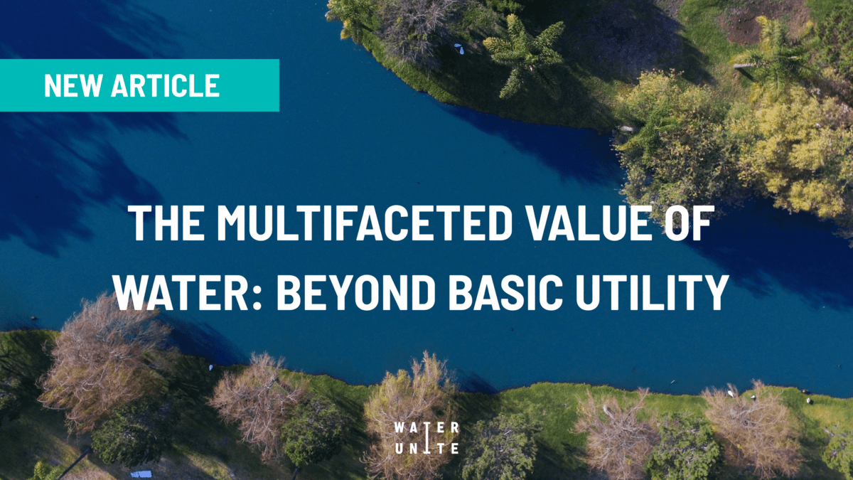 A Deep Dive into the Multifaceted Value of Water: Beyond Basic Utility