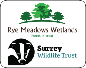 Surrey Wildlife Trust say &quot;New land aquisition ensures future of wetland site&quot;