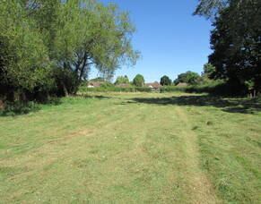 Cutting the fields delayed another year