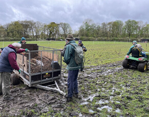 Volunteers or mudlarks?