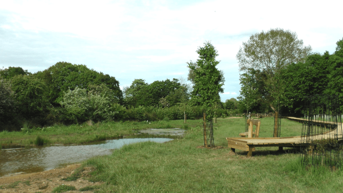 11kV poles and cables removed