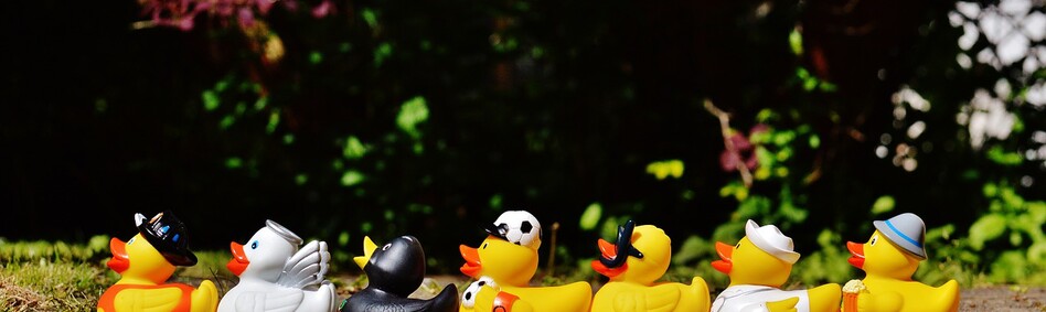 Ducks showing that our bookkeeping service will help to get you organised