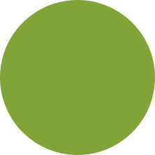 North East Management Consultant