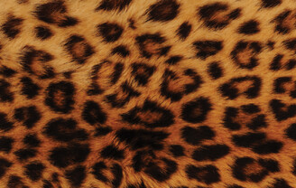 Production Management -  & Accountancy