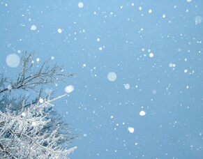 Festive Reflections