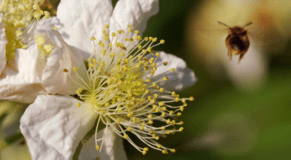 Why are exit interviews important?