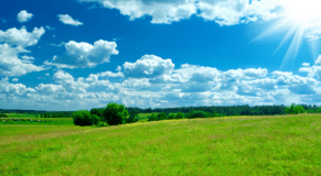 Make exit interviews work for your business