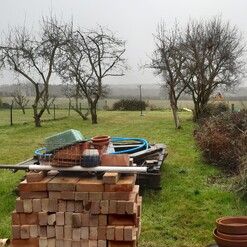 View of the garden taking on a rather dull winters day, no sun and over cast, ready to clear the old trees.