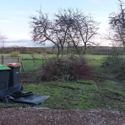 Image shows the garden later in the winter months (early 2018). Most of the shrubs have been removed and the trees pruned back.