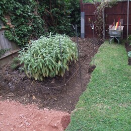 Footings excavated for retainer wall.