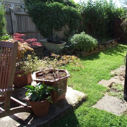 Awaitng the landscapers.