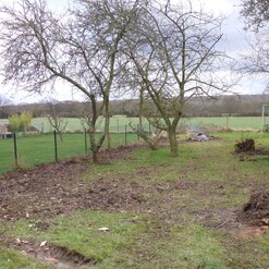 Image shows garden clearance work in progress, part of an ongoing garden landscaping project.