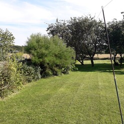 Image shows the garden in 2017 just after we purchased the property ahead of the works. The garden is very established, with old fruit trees and shrubs along the fence lines.