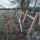 Post and Rail fencing - Field Fencing for Horses and Livestock.