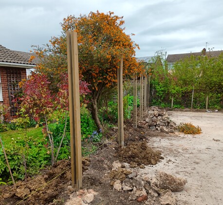 Setting the Tuning Fork posts  for the acoustic barrier.