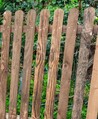Picket Fencing