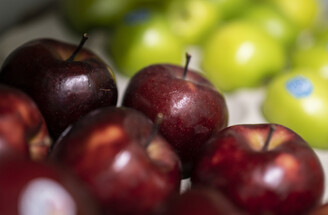 The Hungry Caterpillar, Dipton