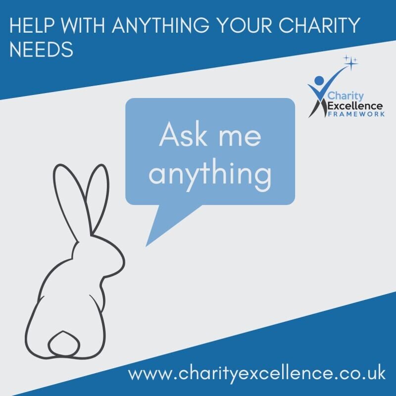 FREE Virtual Meet the Expert Event Charity Excellence Framework