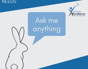 FREE Virtual Meet the Expert Event: Charity Excellence Framework