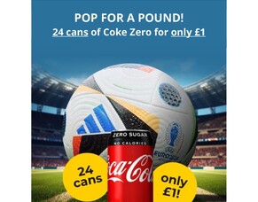 Score a winning deal! 24 Cans of Coke Zero for only &pound;1