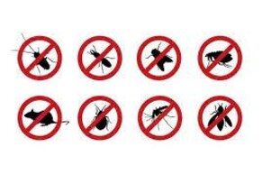 SEEKING A PEST CONTROL SUPPLIER